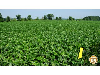 Property photo 32 - 470 Acres Mostly Productive Tillable Land - 6 Tracts